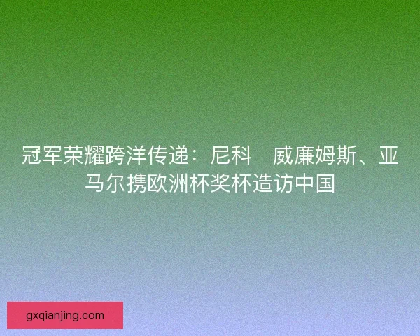 冠军荣耀跨洋传递：尼科・威廉姆斯、亚马尔携欧洲杯奖杯造访中国