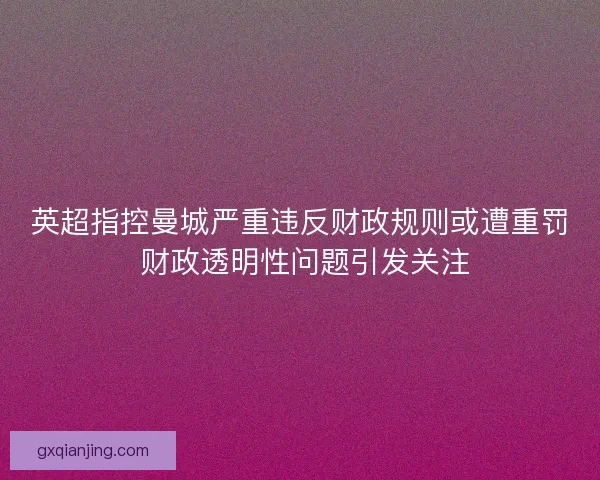 英超指控曼城严重违反财政规则或遭重罚 财政透明性问题引发关注 英超指控曼城严重违反财政规则或遭重罚 财政透明性问题引发关注