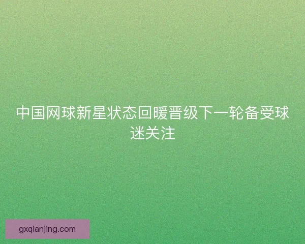 中国网球新星状态回暖晋级下一轮备受球迷关注