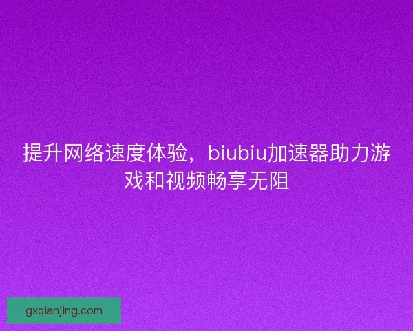 提升网络速度体验，biubiu加速器助力游戏和视频畅享无阻